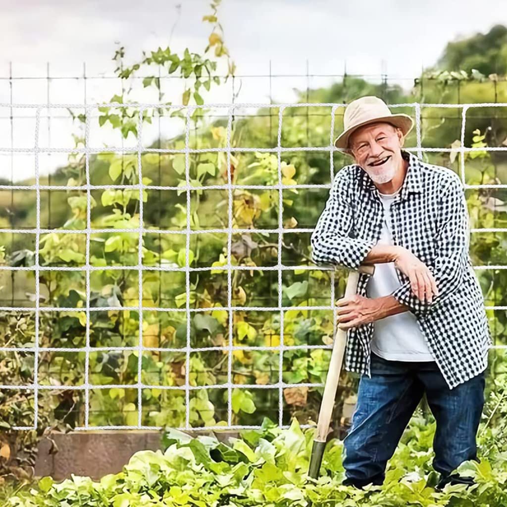 HASTHIP 5*30 ft Creeper Plant Support Net For Agriculture And Gardening, Heavy-Duty Polyester Creepers and Climbers Plants Trellis Netting for Climbing Plants, Vegetables, Fruits, and Flowers HASTHIP 5*30 ft Creeper Plant Support Net For Agriculture And Gardening, Heavy-Duty Polyester Creepers and Climbers Plants Trellis Netting for Climbing Plants, Vegetables, Fruits, and Flowers